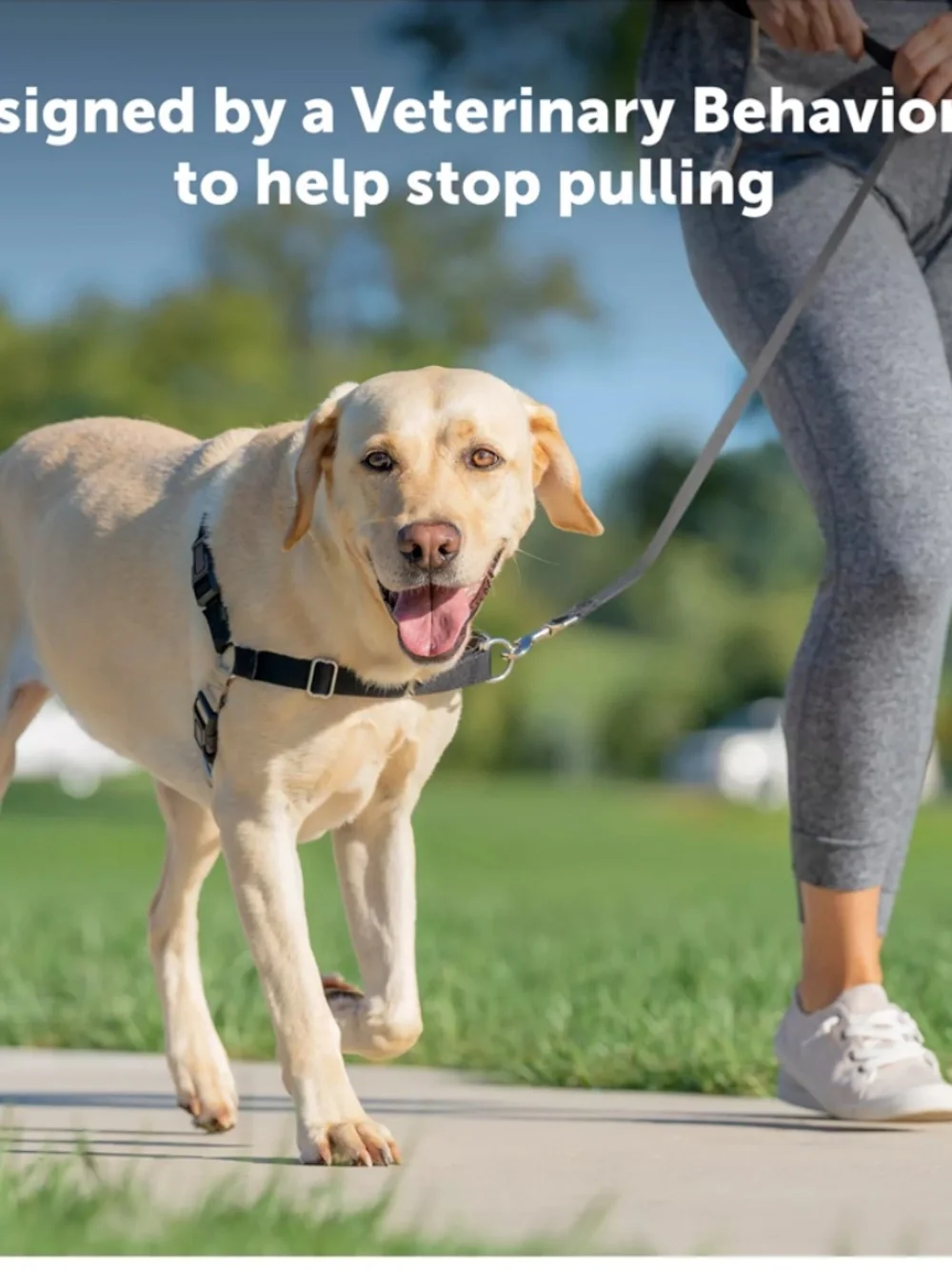 PetSafe® Easy Walk Dog Harness, No Pull Dog Harness Size M/L